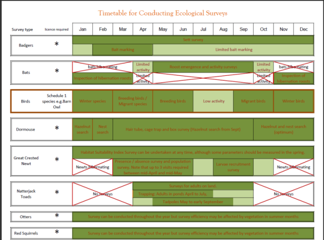 AAE survey calendar